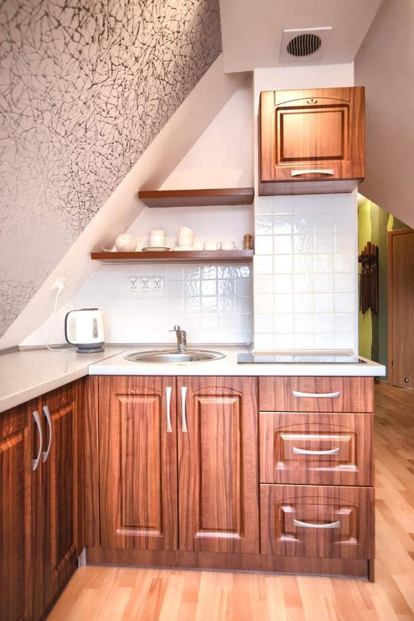 Golden Apartments Zakopane- One Bedroom Apartment - Mountain View&B14 Exteriér fotografie